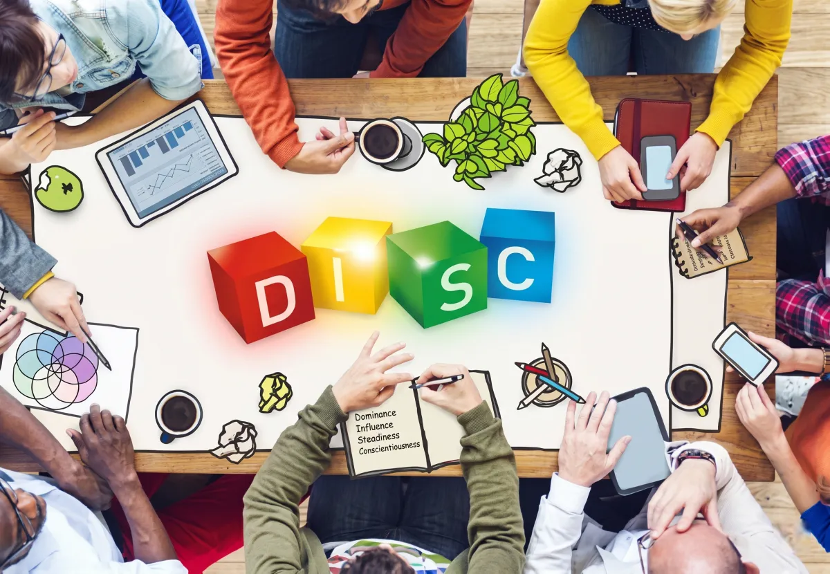 disc-team-management-01
