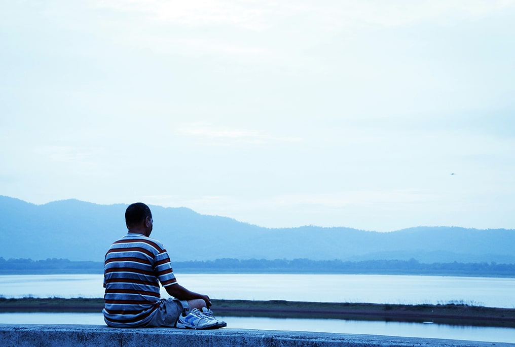 green trees near walkway
