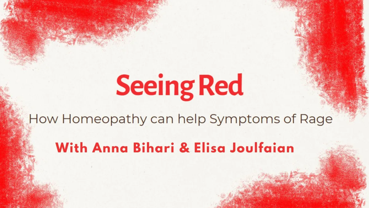 Anna Bihari hosting an online introduction to homeopathy webinar, available in Brighton and internationally