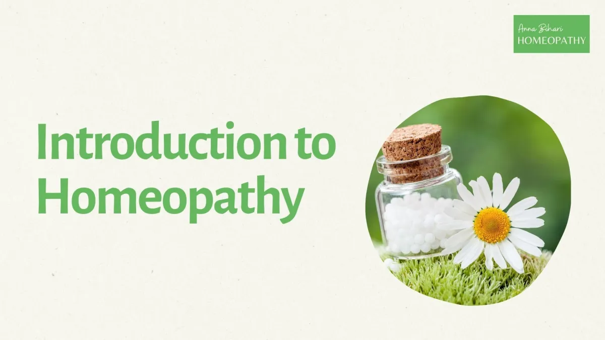Anna Bihari hosting an online introduction to homeopathy webinar, available in Brighton and internationally