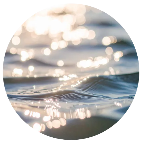 Homeopathy consultation in Brighton supporting long-term health and balance