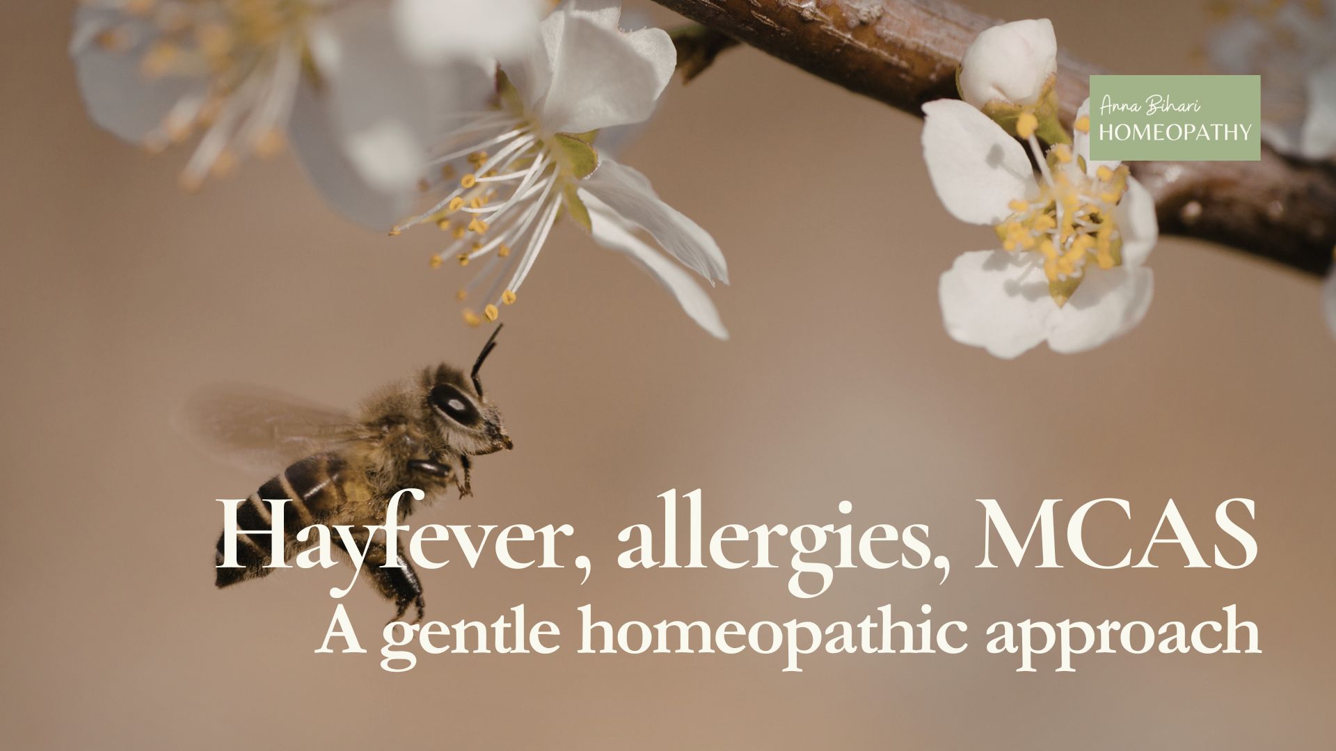 Introduction to Homeopathy webinar cover image by Anna Bihari