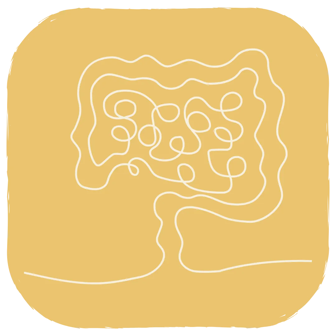 Line drawing of intestines symbolising gut health and immune-related conditions