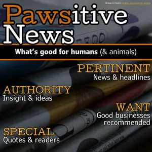 Pawsitive News: news, headlines, ideas, businesses & quotes
