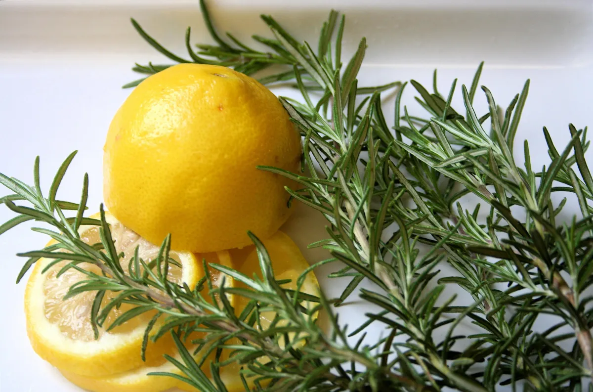 Rosemary Shampoo and Conditioner; organic Dandruff shampoo