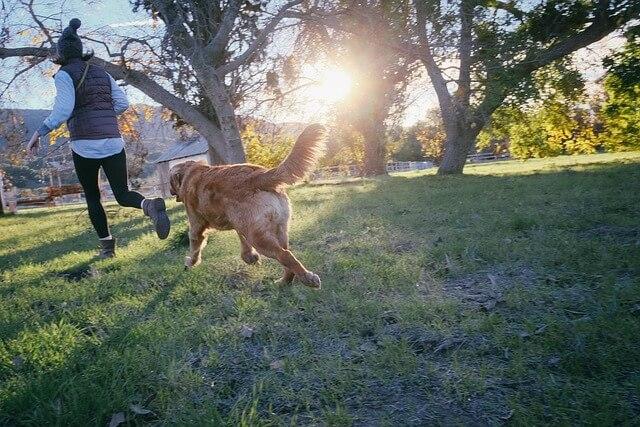 Dog owner running with dog in yard