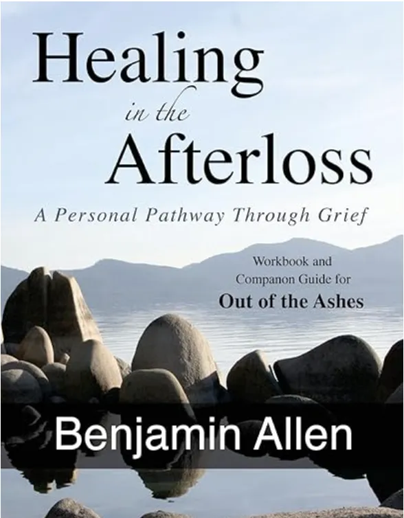 Healing In The Afterloss Book Cover