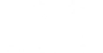 Elite Ninja Development
