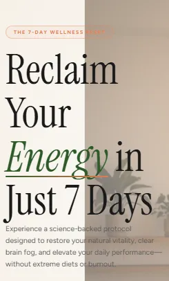 Sample project preview showing a modern digital interface