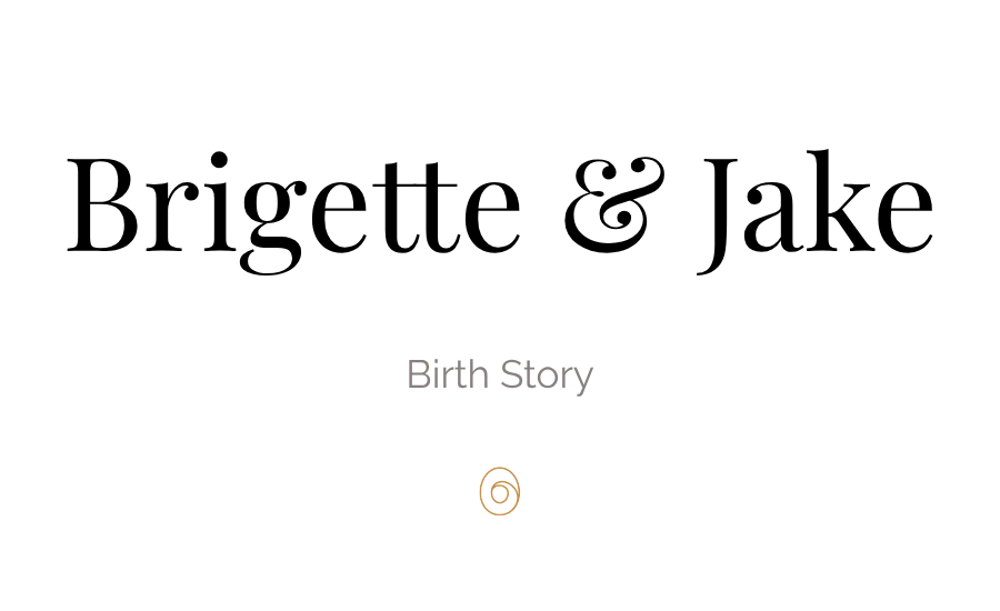 Brigette and Jake's Family - Copy