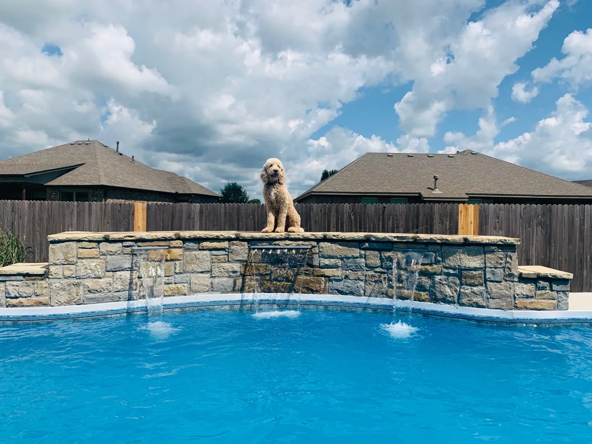 swimming pool maintenance companies