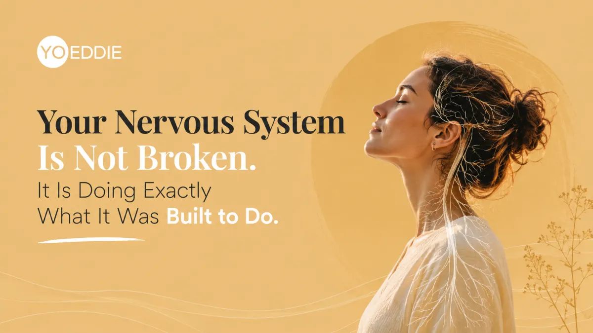 Your Nervous System Is Not Broken. It Is Doing Exactly What It Was Built to Do.