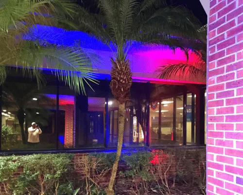 Landscape Lighting Repair & Fixes Tampa