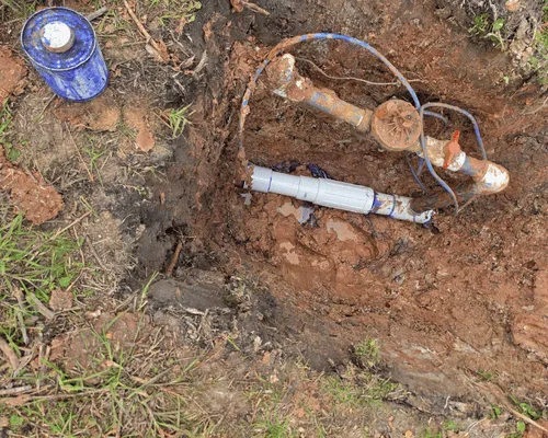 Landscaping in Tampa