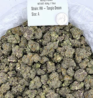 FS – Gelato Runtz