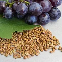 Cortexi Ingredient Grape Seed