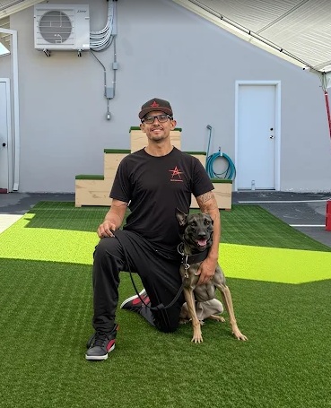 a brown and white dog standing on top of a grass covered field