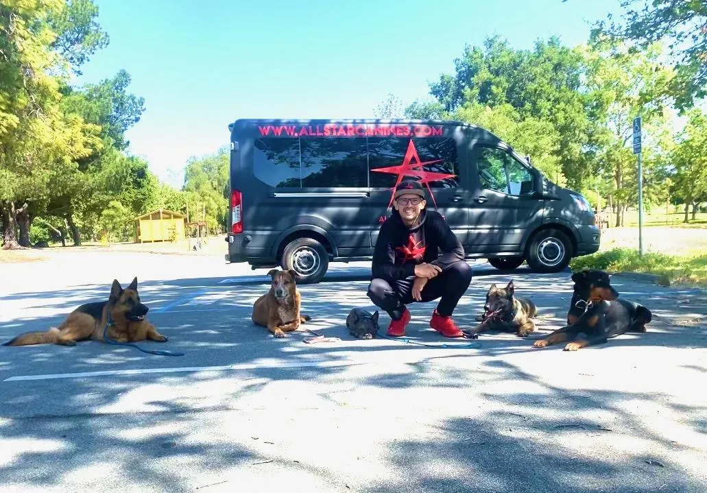Young girl and small dog on grassy hill overlooking city