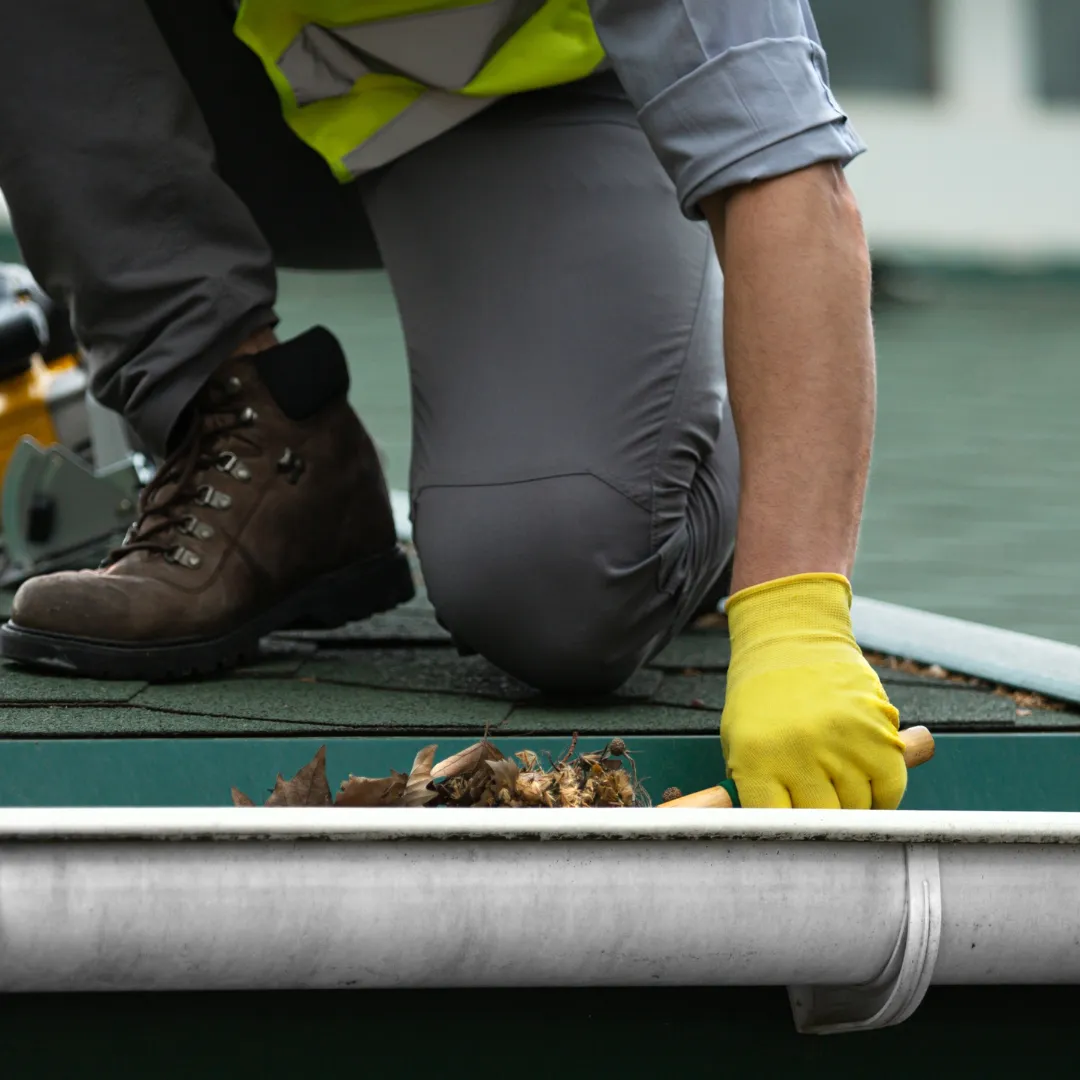 Roof inspection and cleaning service