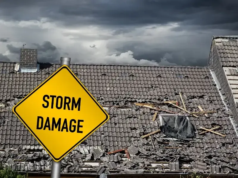 storm damage roof repair king county