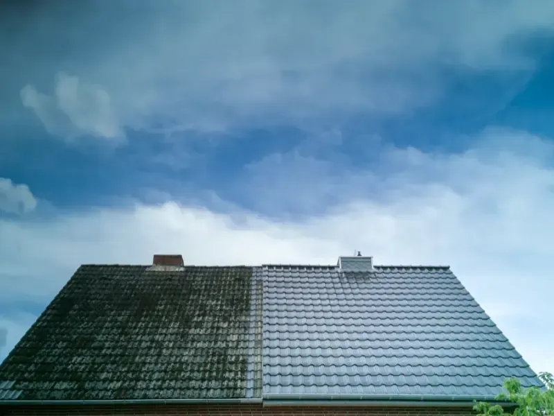 roof cleaning king county