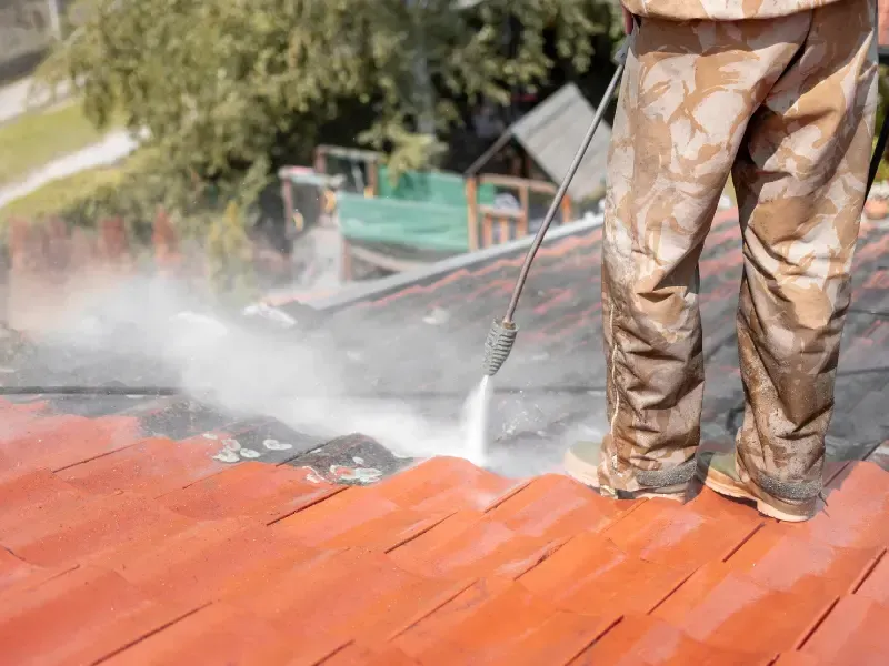 roof cleaning Thurston County WA
