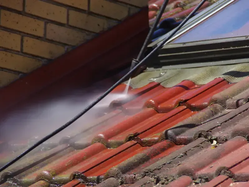 How Often Should a Roof Be Cleaned in Thurston County, WA?