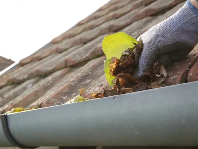 Why Is Gutter Cleaning Important in the Pacific Northwest?