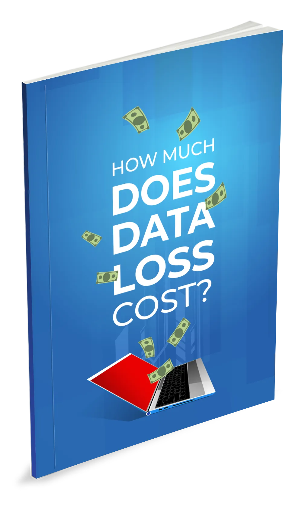 How Much Does Data Loss Cost?