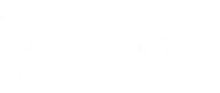 Car Insurance