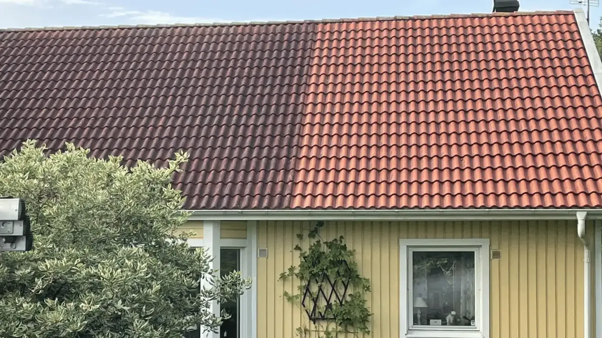 Hus med pågående taktvätt – skrapning av mossa utan högtryck