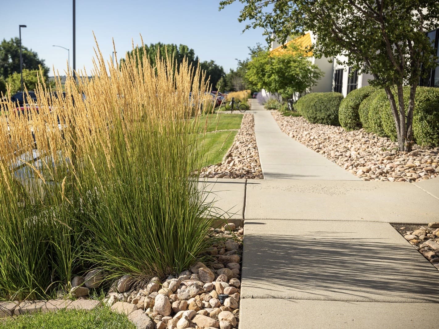 Landscape Design Lancaster