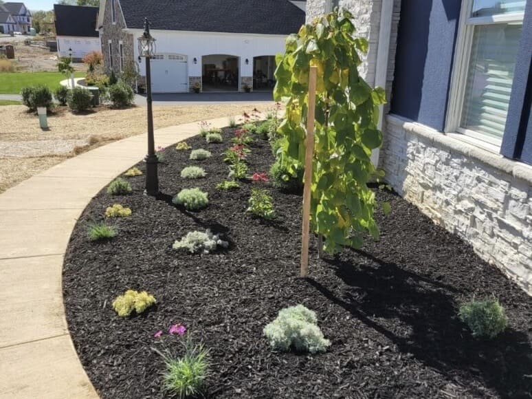 Landscape Design Lancaster