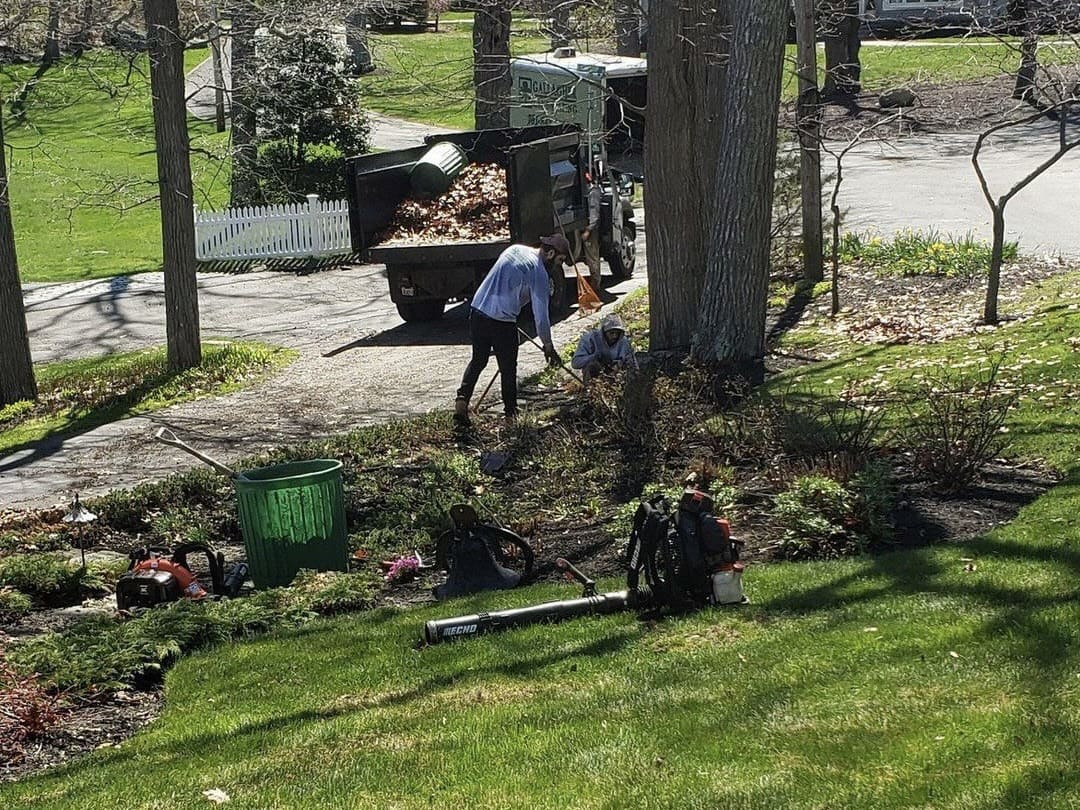 Clarence Spring & Fall Yard Cleanup