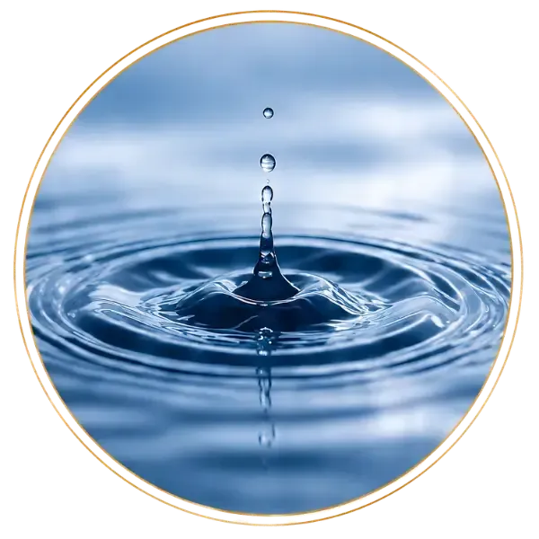 Crown Wellness | Trace minerals
