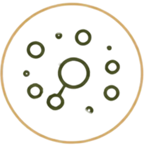 Crown Wellness | Ultra small nano particle support