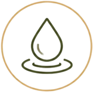 Crown Wellness | Part of a foundational wellness system