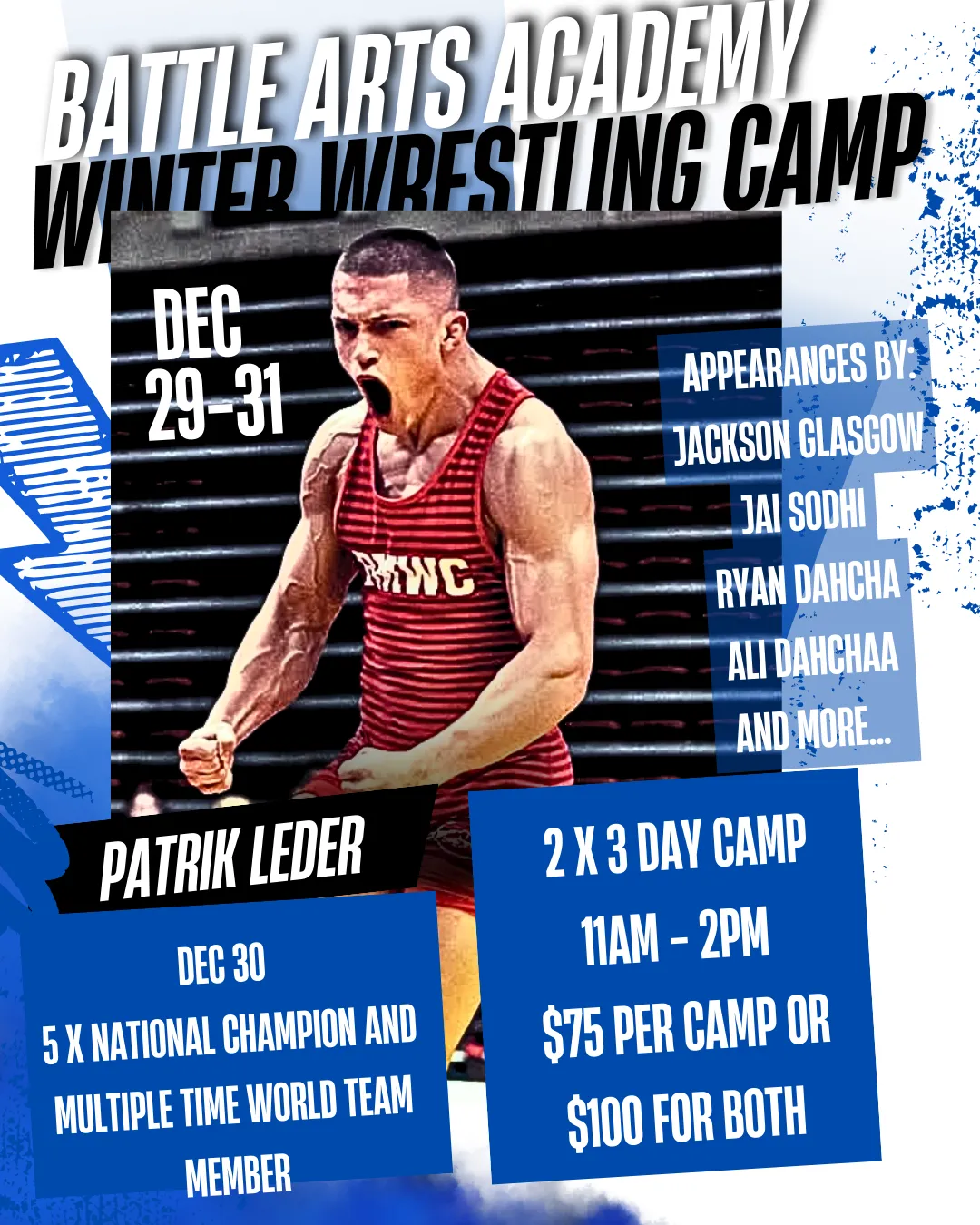 Battle Arts Pro Vs Pro Wrestling Revolver