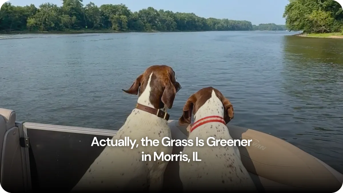 Actually, the Grass Is Greener in Morris, IL