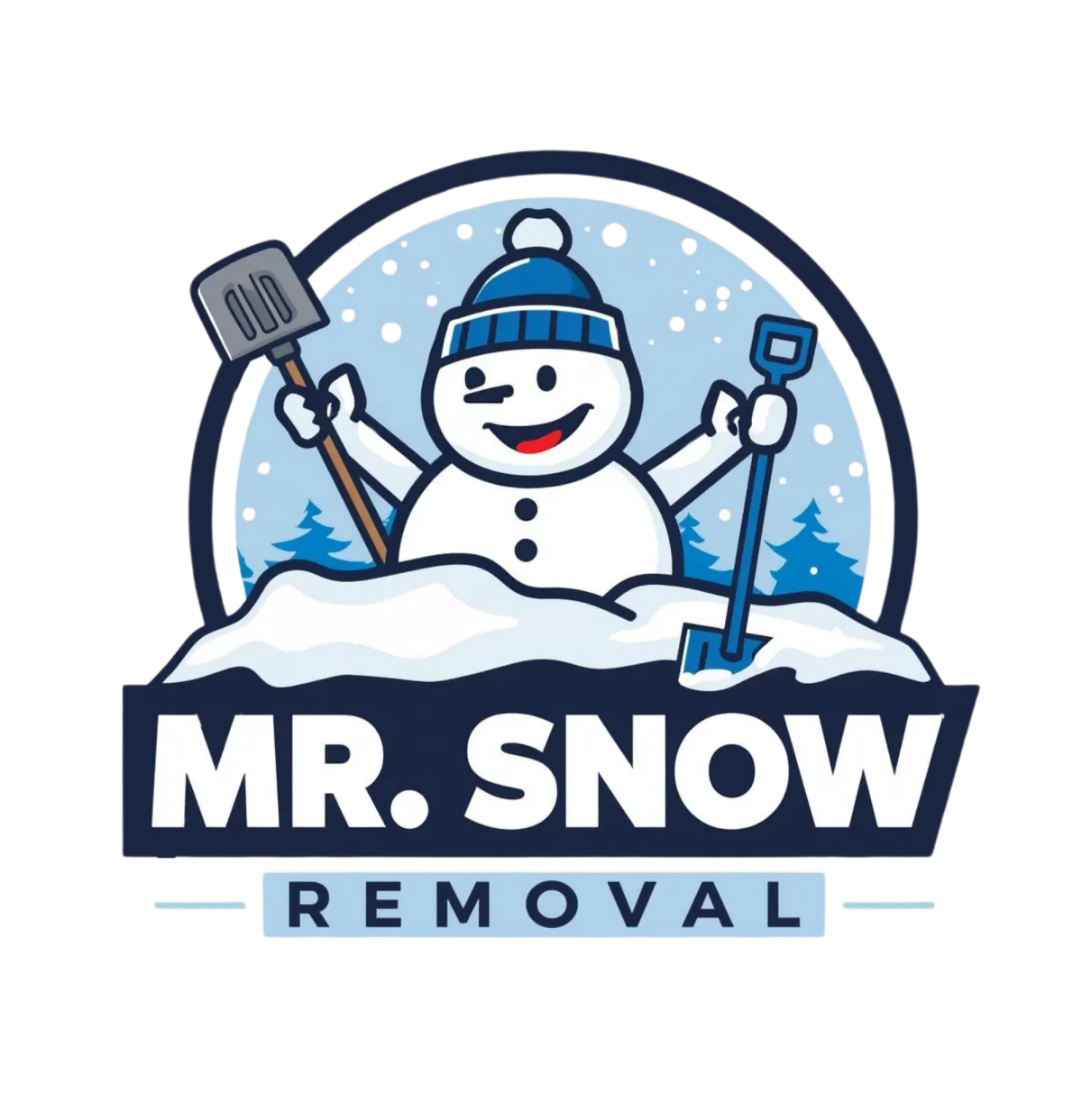 Mr. Snow Removal