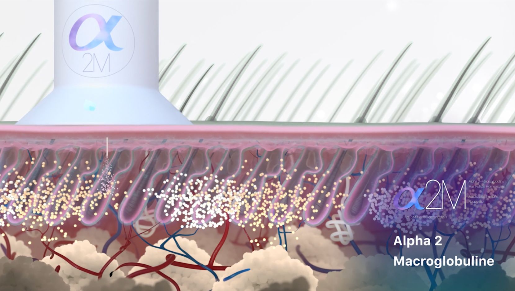 training formativo video 3