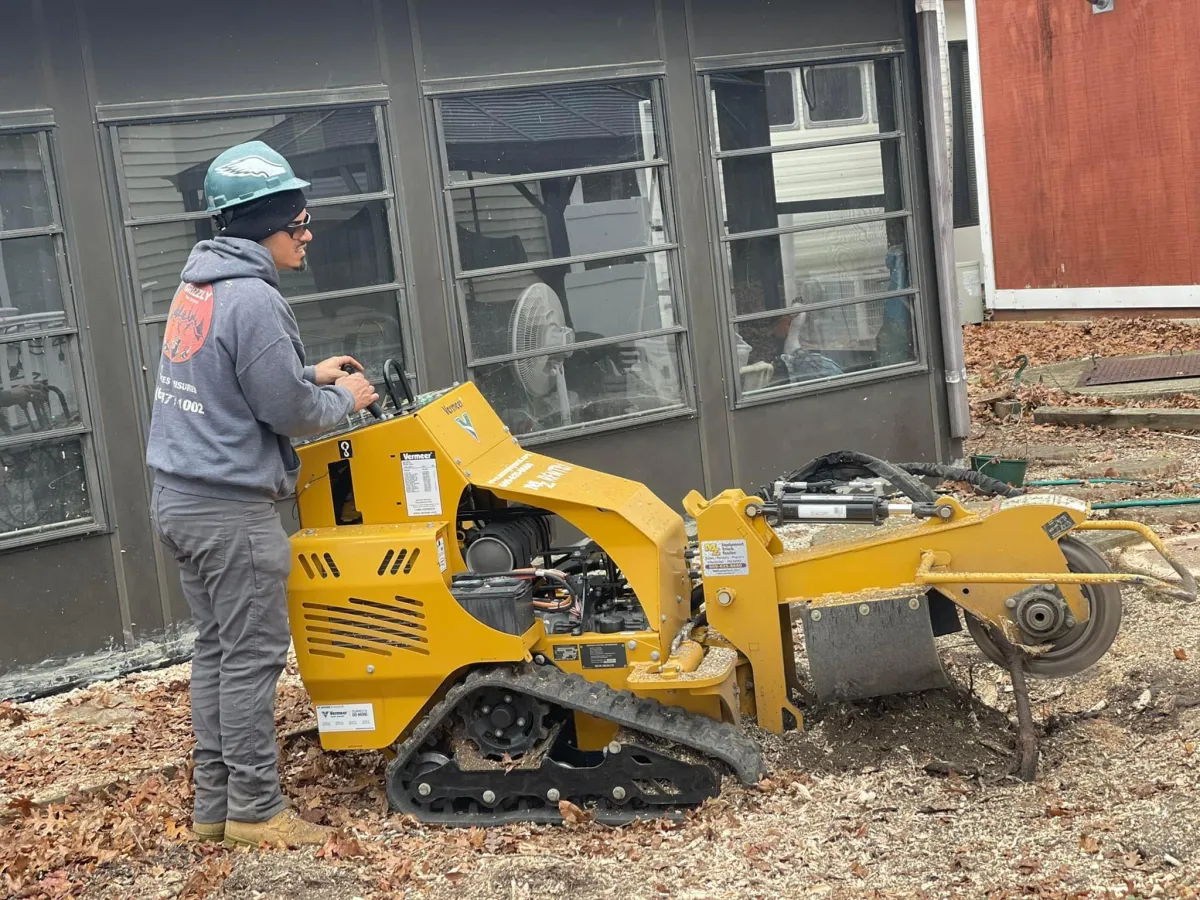Stump Grinding
