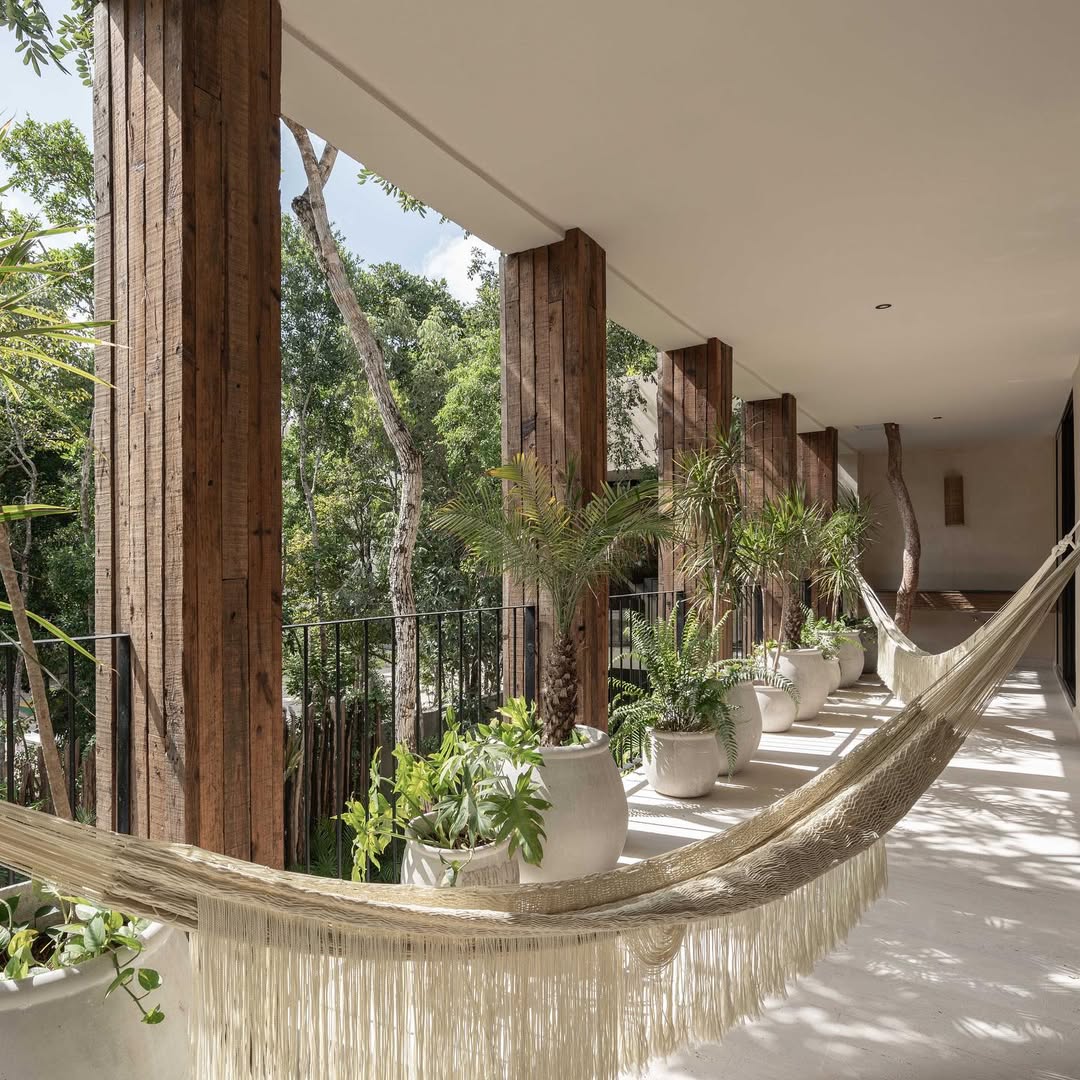 Cenote and wellness environment