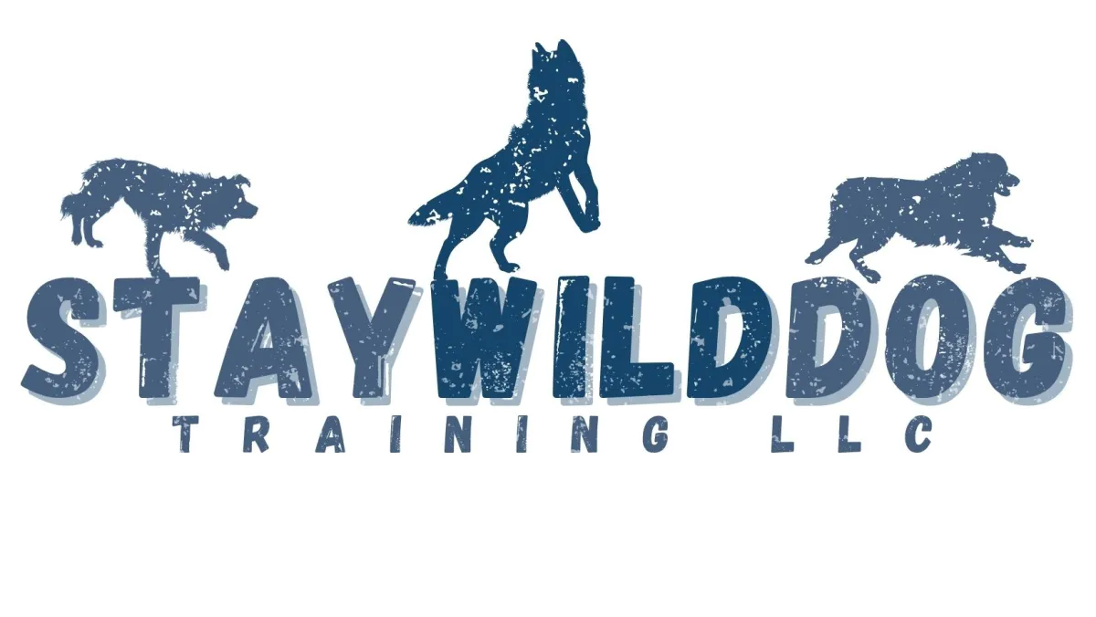 a silhouette of an ustralian shepherd border collie, and husky standing on the words STAYWILDDOG
