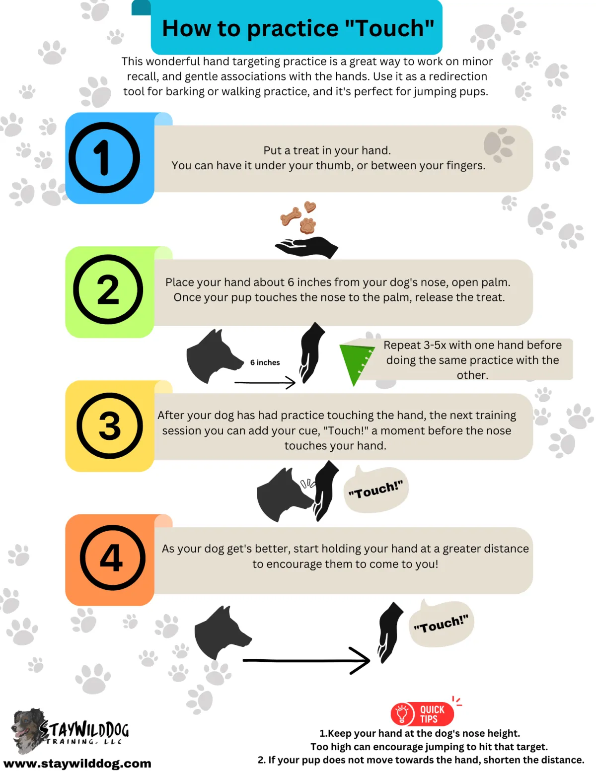 dog training how to nose target