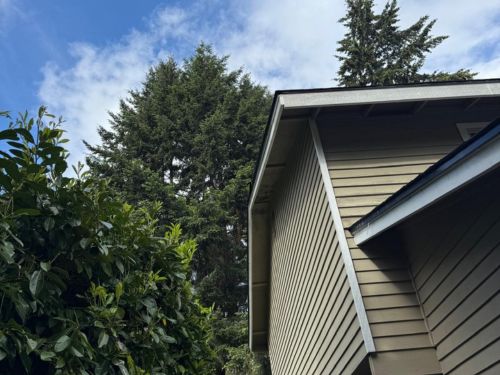 TPO and PVC flat/low-slope roofing Everett, WA