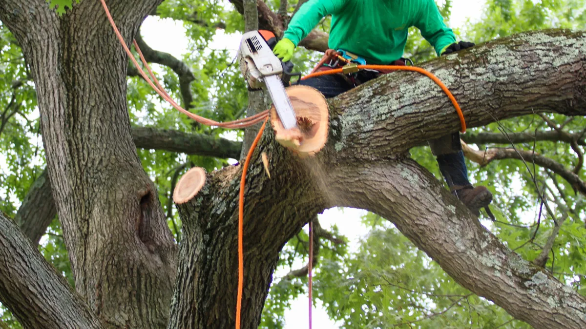 KITCHEN TILE INSTALLATION 