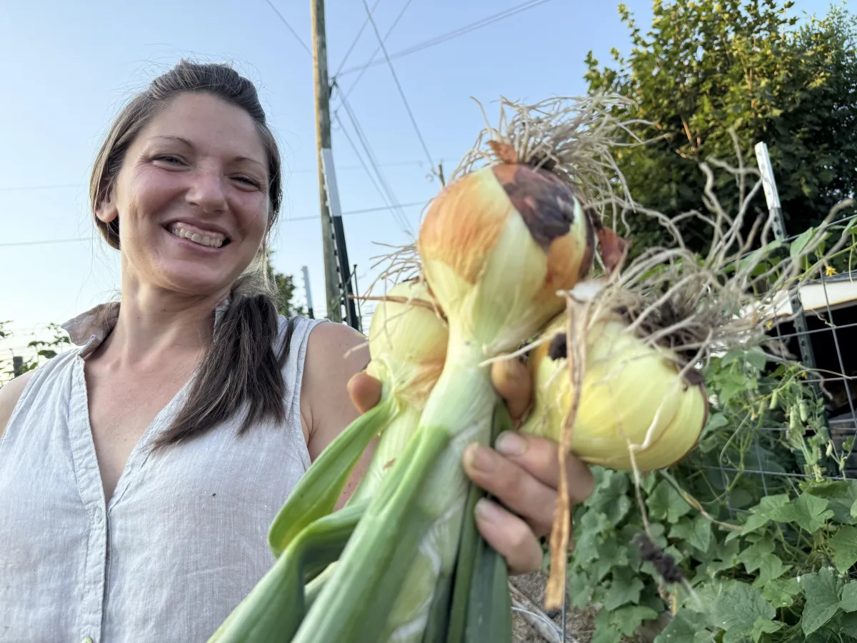 Viking Tribe — Harvest Results