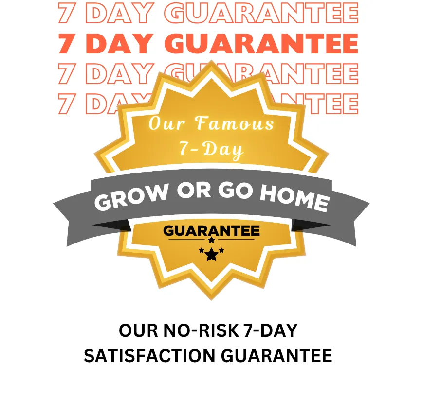 Our Famous Guarantee