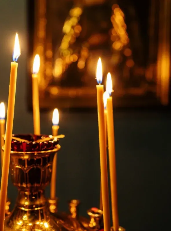 Team van Vredehof Uitvaarten